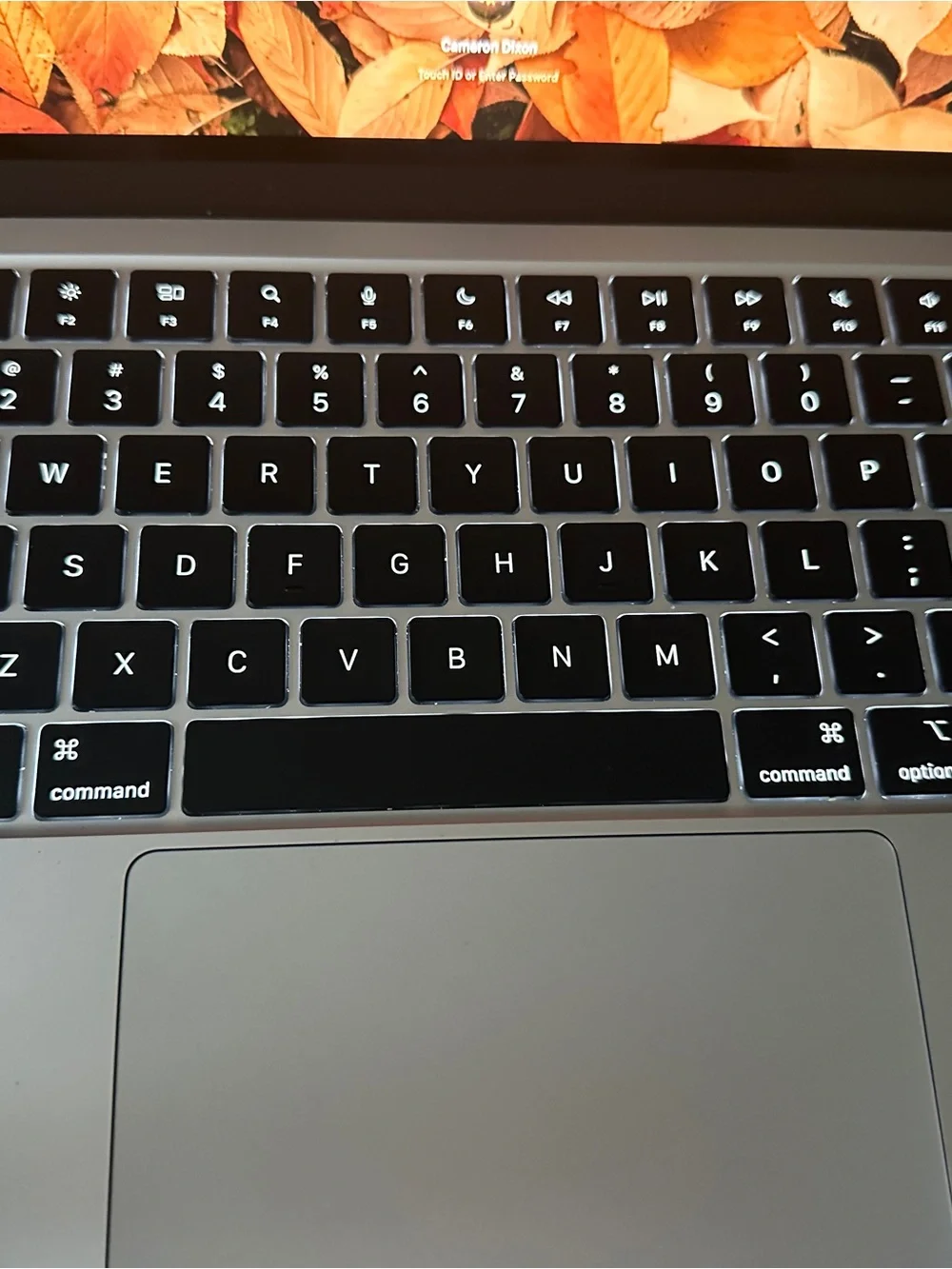 Space Gray Laptop with Black Keyboard & Autumn Leaf Display
